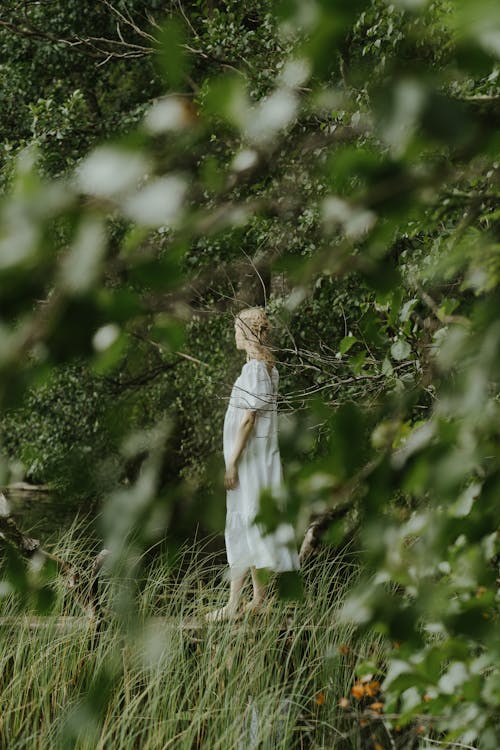 垂直拍摄, 女人, 森林 的 免费素材图片