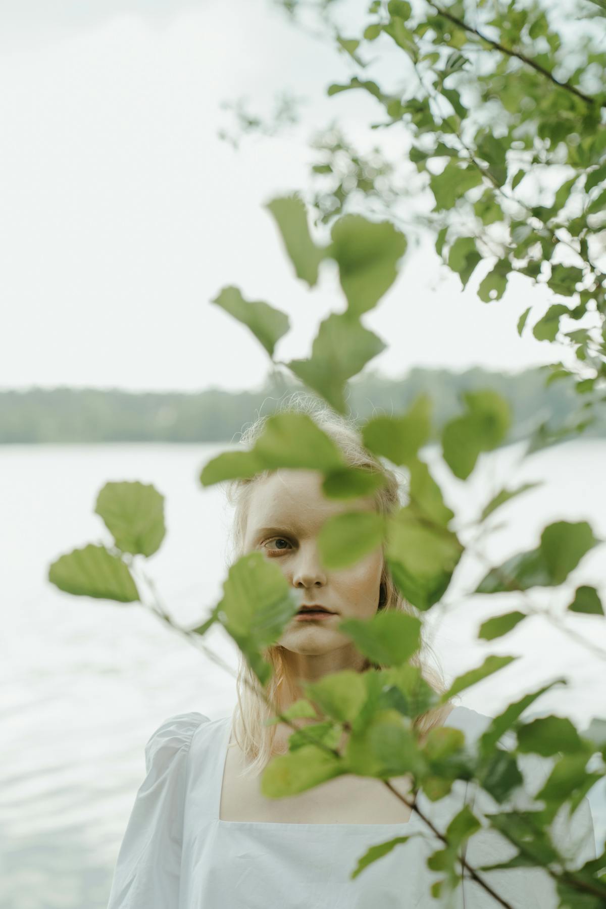 Welsh countryside in Powys with rolling green hills