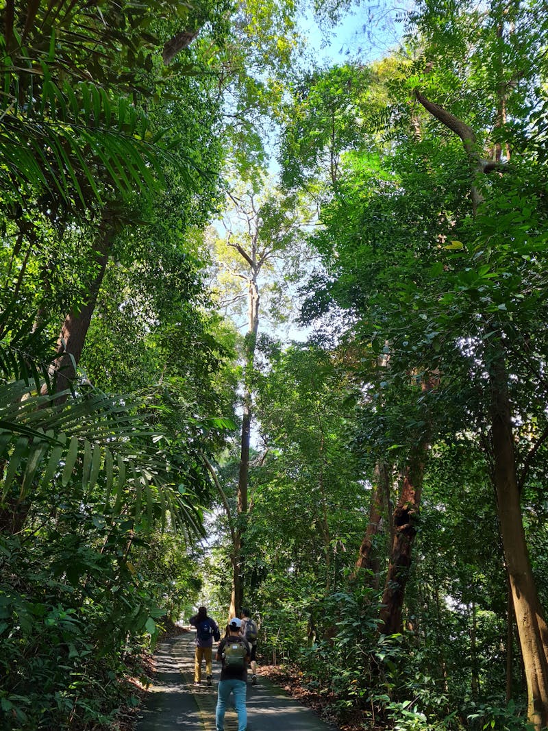 Logistique d'entrepôt