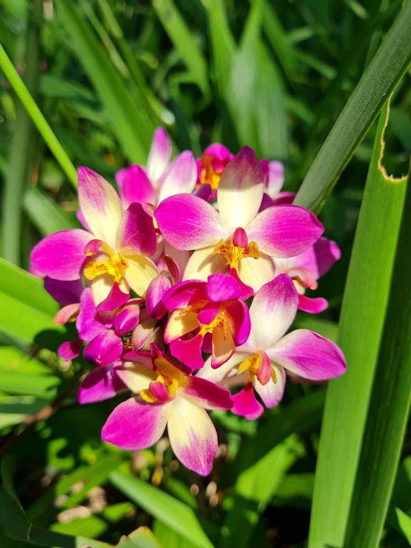 Family gathering around dinner table