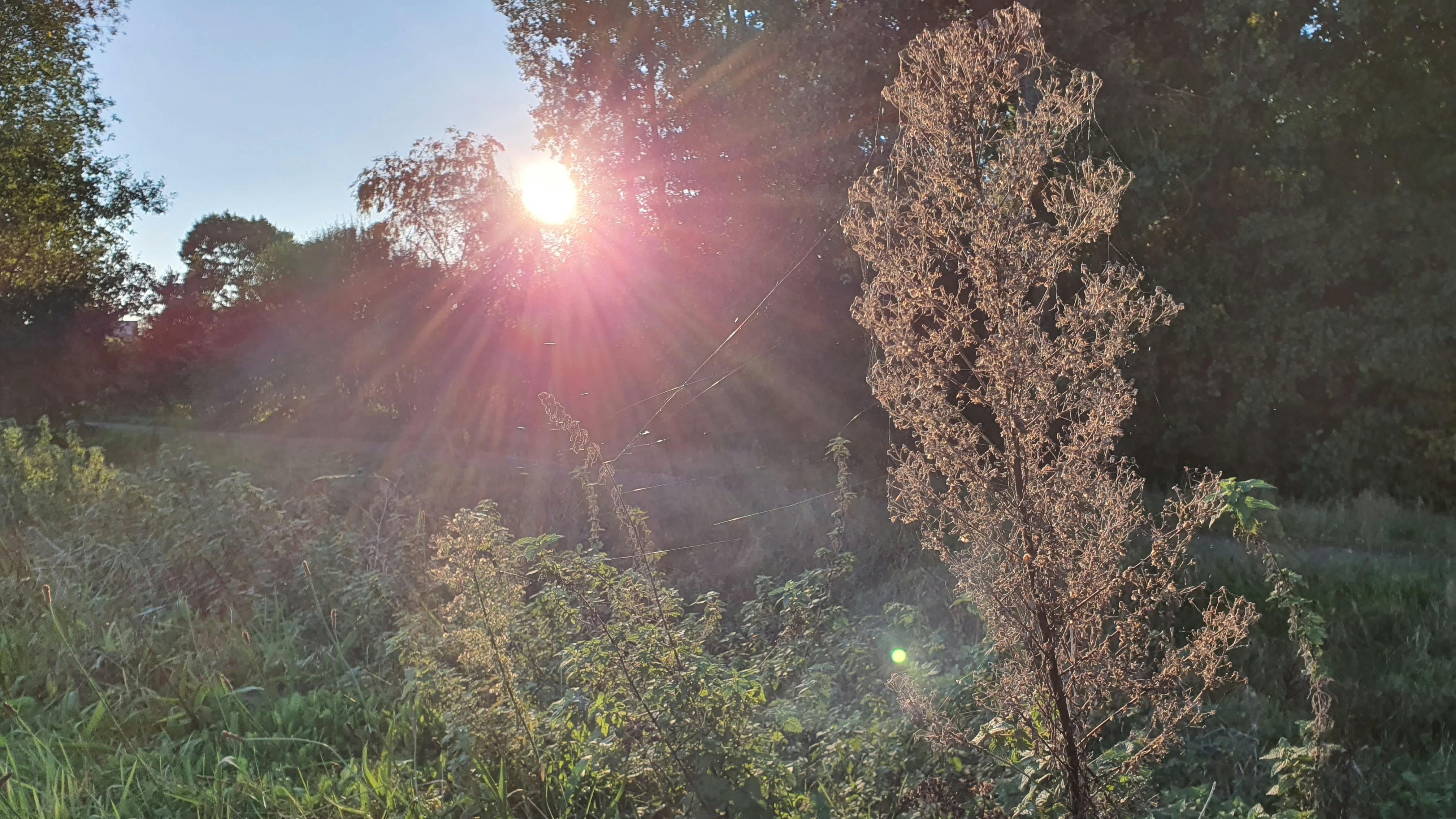 Günstiges Raclette für Silvester Vergleich 2026: Schnell ein gutes Gerät finden – ohne Stress und ohne Fehlkauf