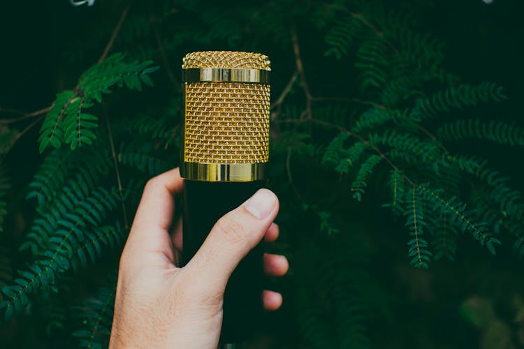 Person Showing Microphone Against Green Plant