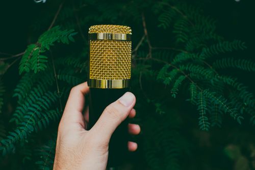 Free Crop anonymous person demonstrating modern microphone against green bush in nature in daytime Stock Photo