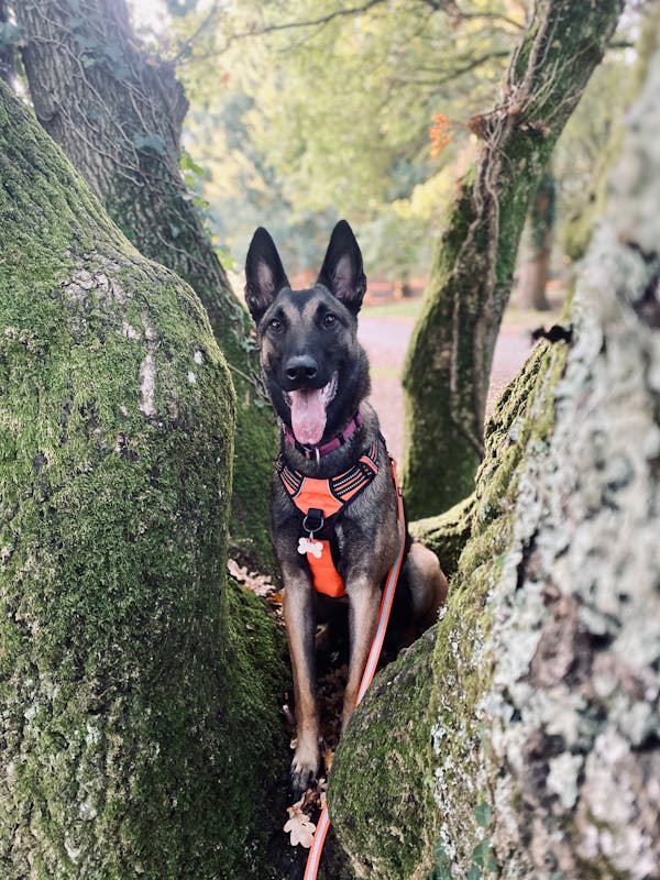 Tiệc sinh nhật vui nhộn 16