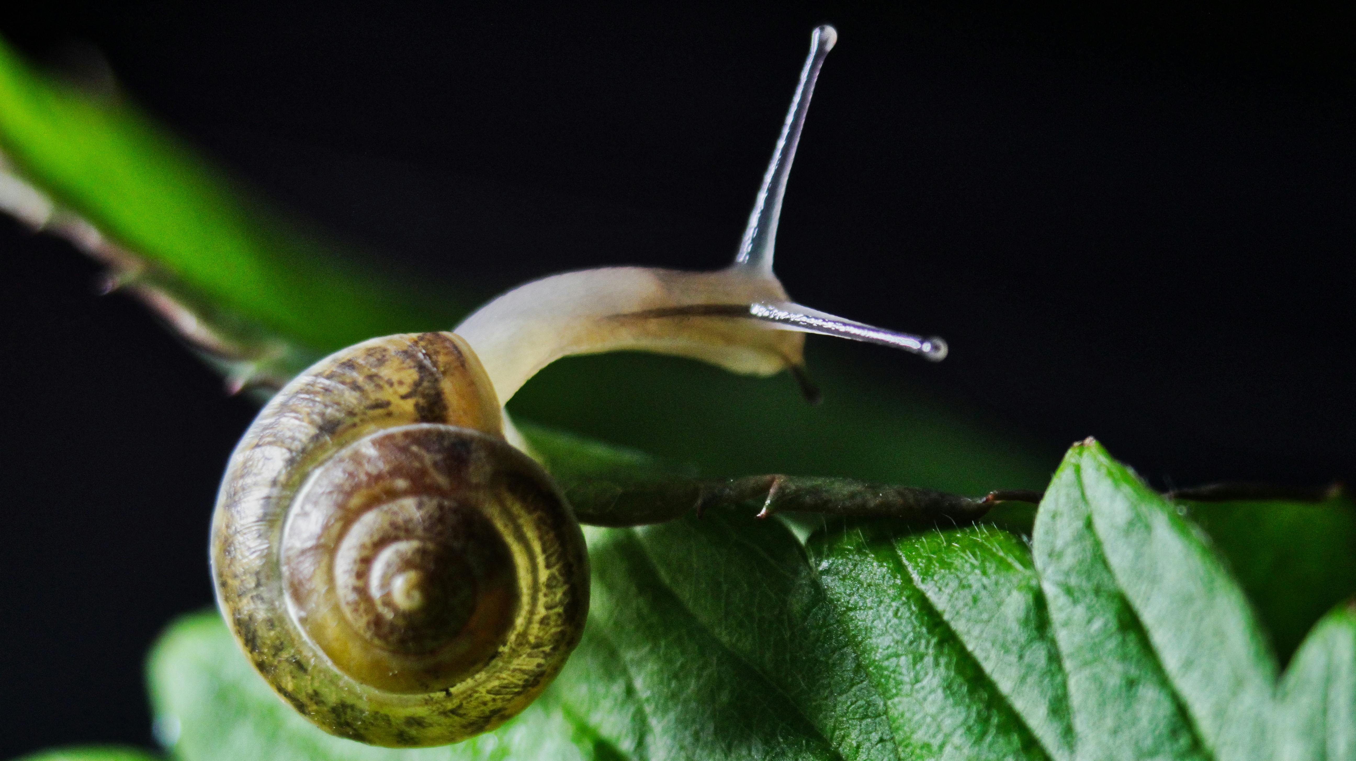 A close-up of different fabric swatches, highlighting various textures and weaves.