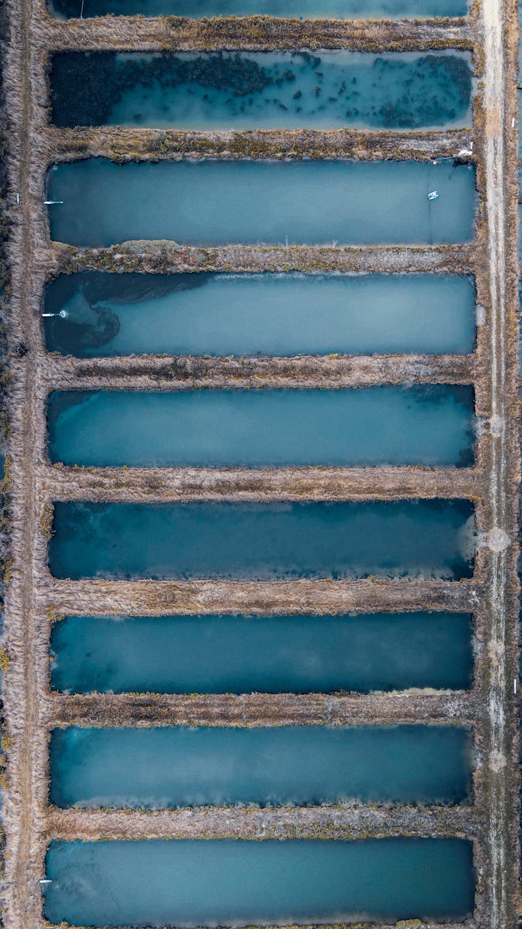 Fish Farm Reservoirs With Water