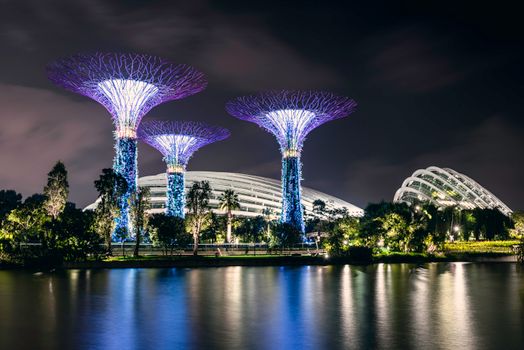 Gardens by the Bay private after-hours — Singapore