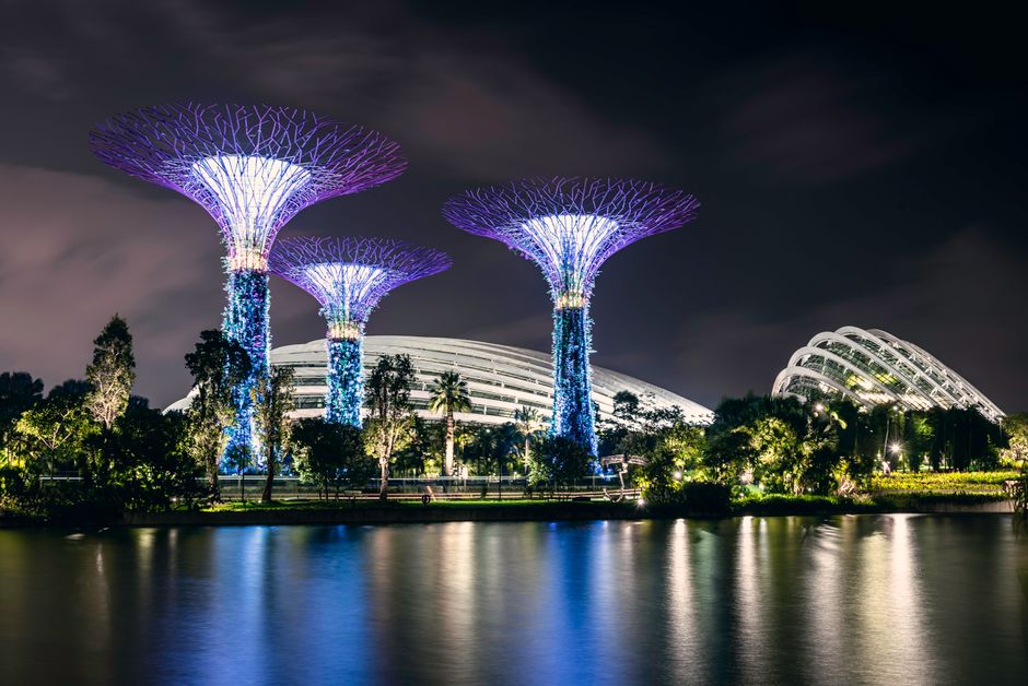 Explore the illuminated Supertree Grove at Gardens by the Bay, Singapore at night.