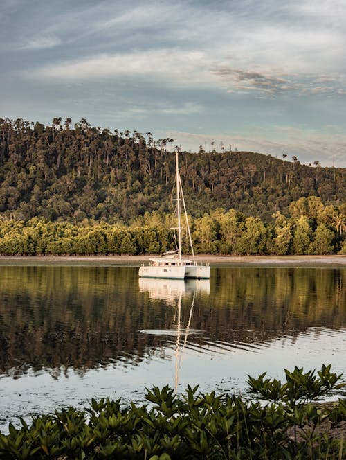 White Yacht in the Middle of a Lake 