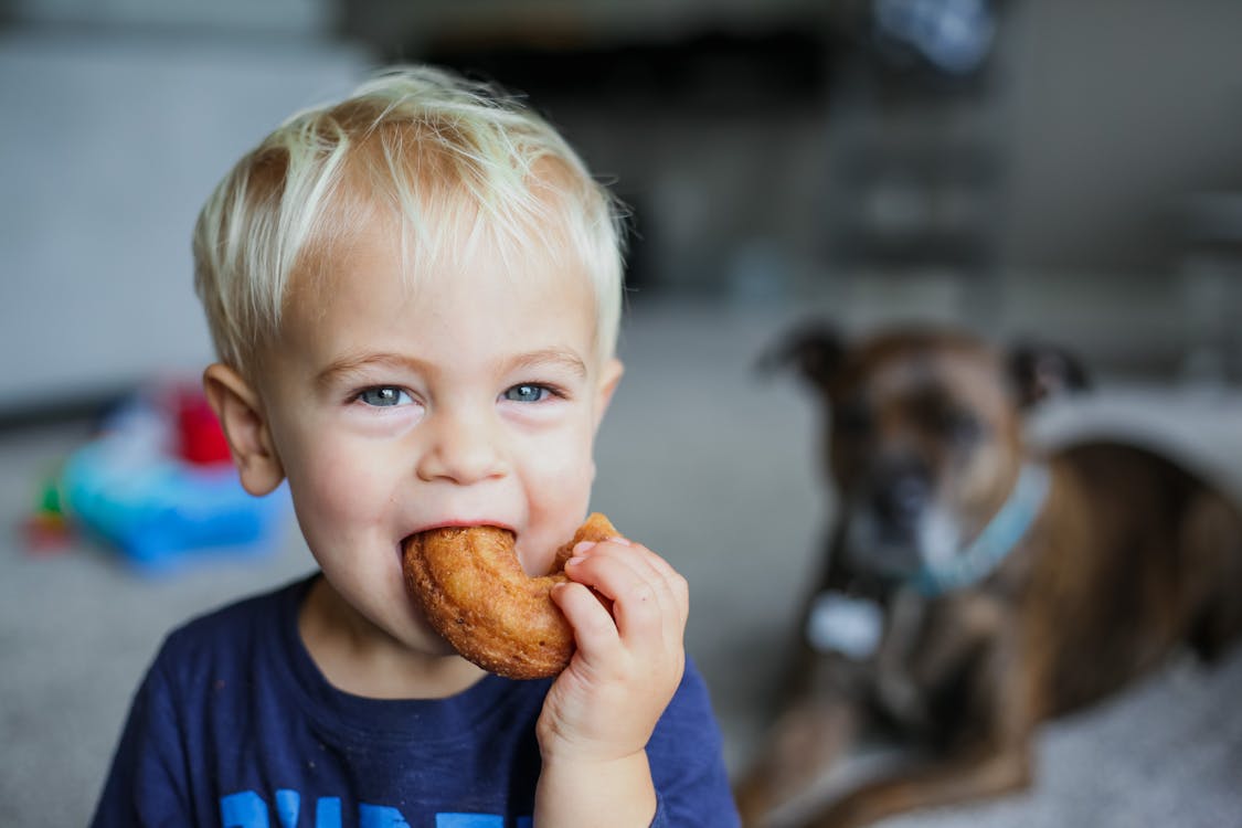 Happy little boy eating bagel at home