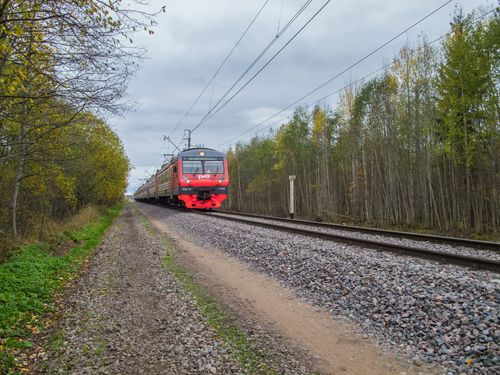 Free A red locomotive travels through a serene forest on a cloudy day, illustrating transportation in nature. Stock Photo