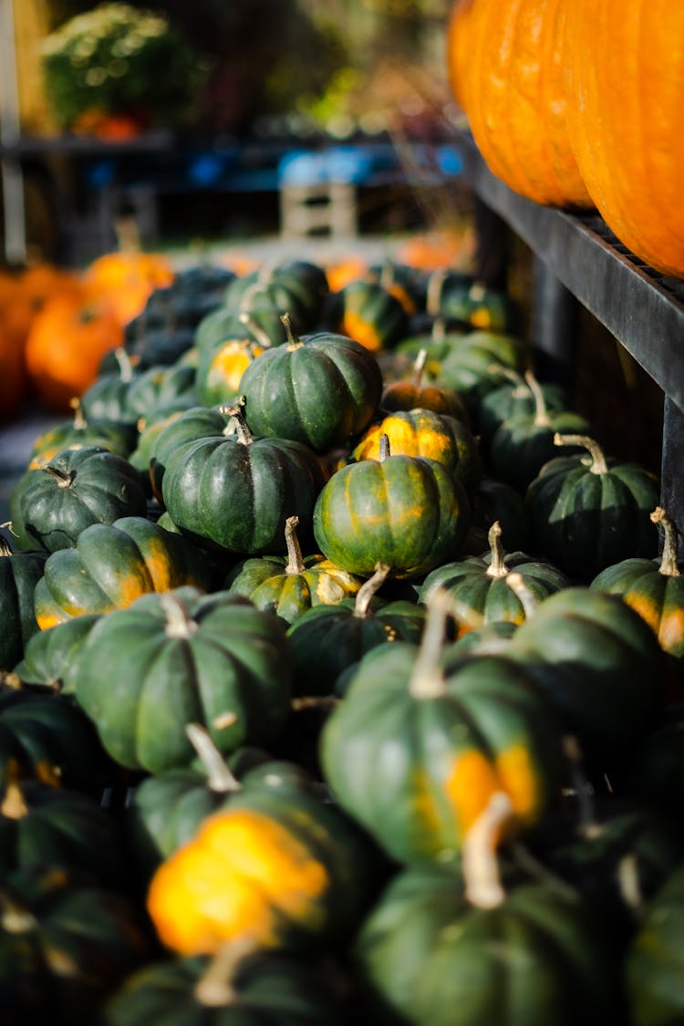 Yellow And Green Pumpkin 