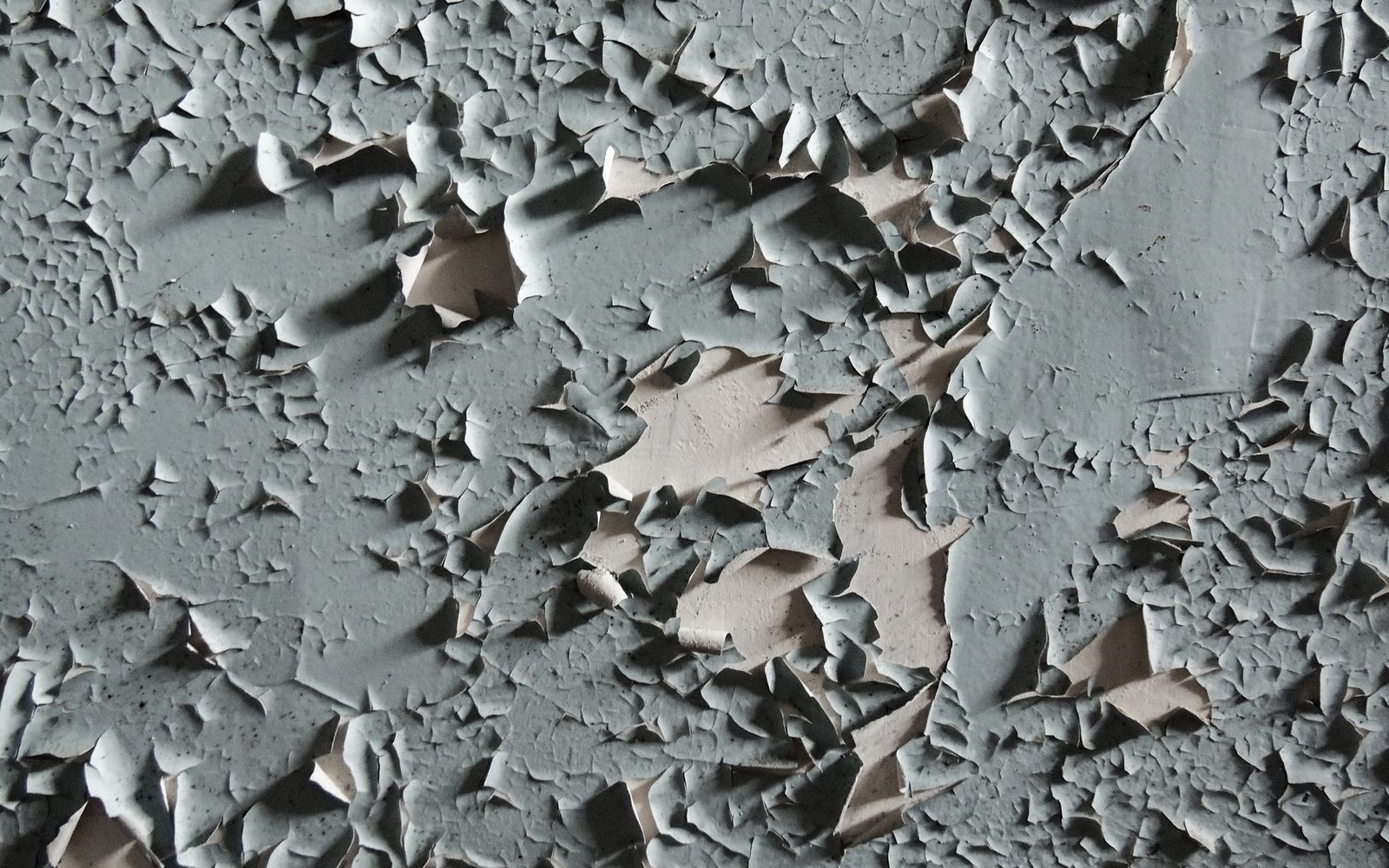 Close-up of cracked and peeling paint on an old wall