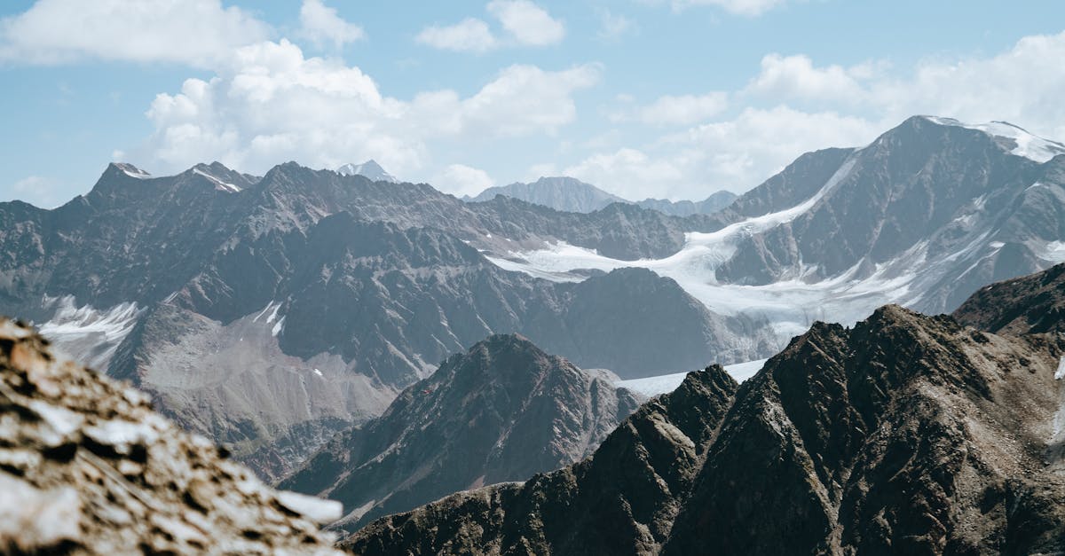 How to defrost frozen ground beef