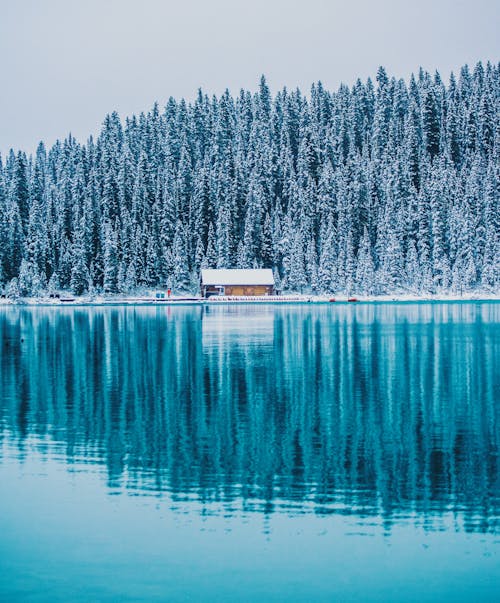 Fwqdr1th15z Gm Fwqdr1th15z Gm