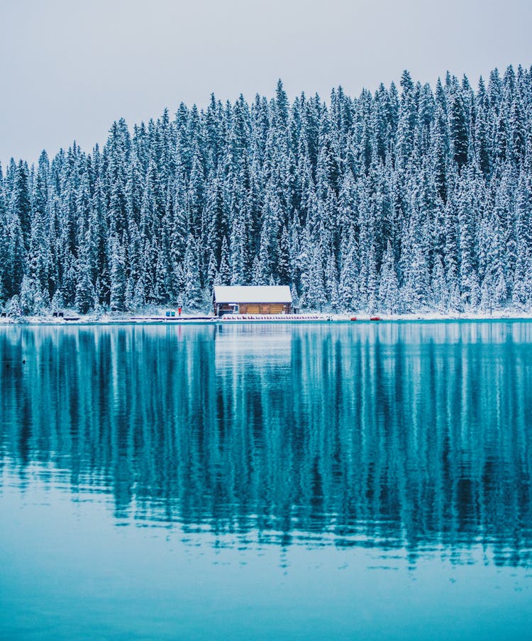 A Cabin Near Lake Louise In Canada