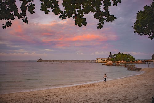 Kostnadsfri bild av gående, hav, havsstrand