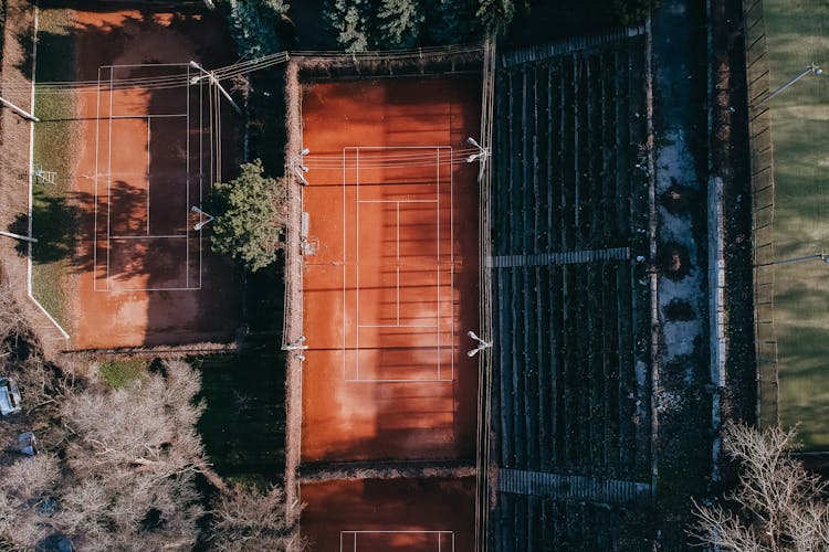 City District With Sports Grounds With Trees