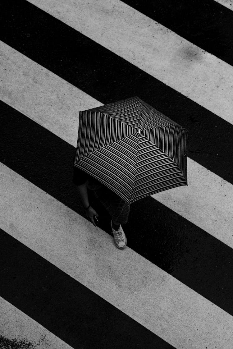 Unrecognizable Person With Umbrella On Crosswalk