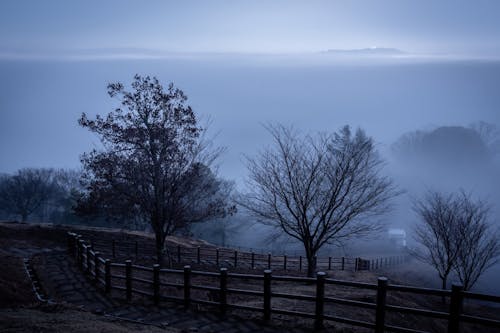 Empty hill slope in foggy morning