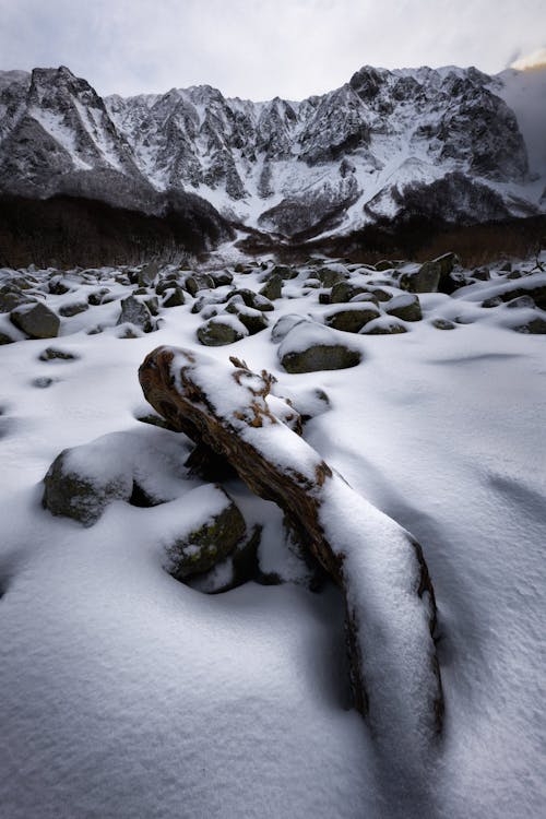 Picturesque view of mountain terrain with stones and log under snow in front of rocky hills