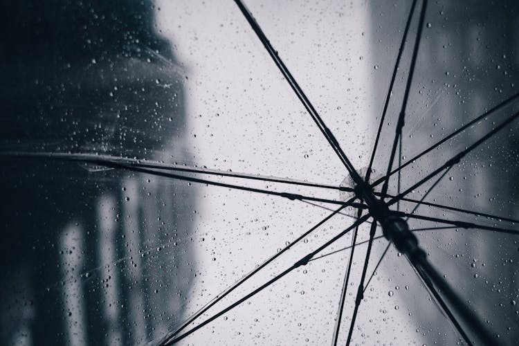 Rain Droplets On Wet Transparent Umbrella