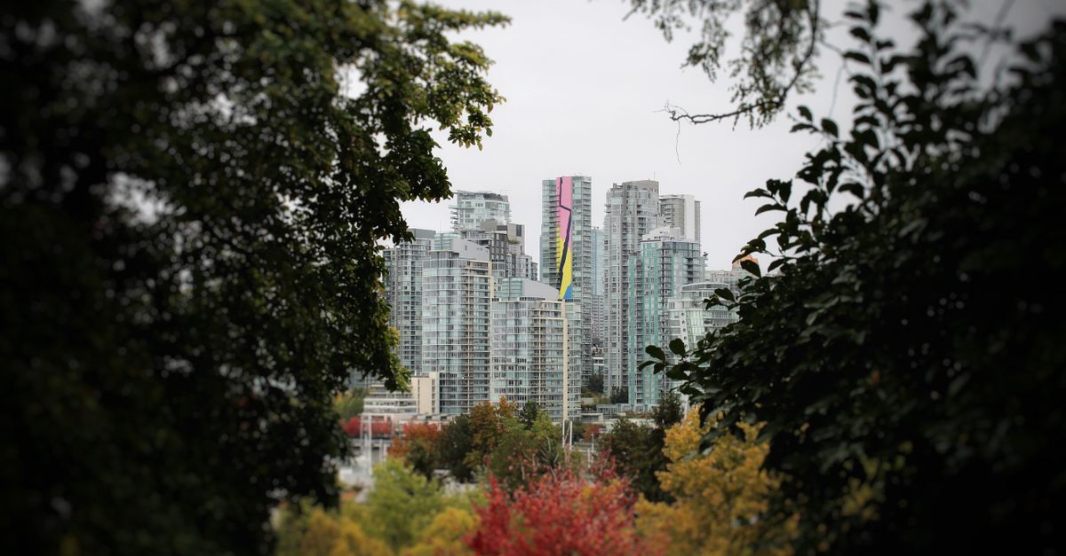 Skyscrapers of a vibrant city framed by autumn foliage, creating a blend of nature and urban life.