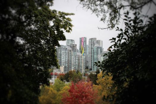 Skyscrapers of a vibrant city framed by autumn foliage, creating a blend of nature and urban life.