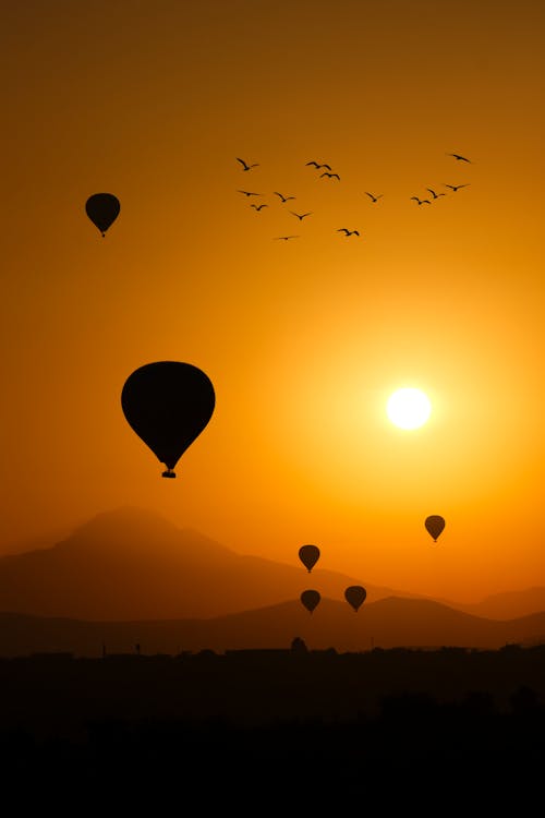 Free Silhouette of Hot Air Balloons at Sunset  Stock Photo