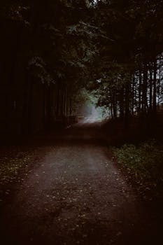 Explore a dark, mysterious forest pathway enveloped by trees with an eerie ambiance enhancing the moody atmosphere.