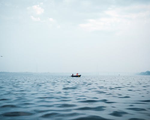 Foto profissional grátis de alvorecer, baía, barco a remo