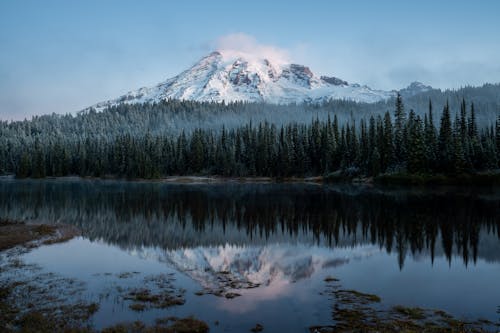 Gratis stockfoto met 4k achtergrond, berg, Bos