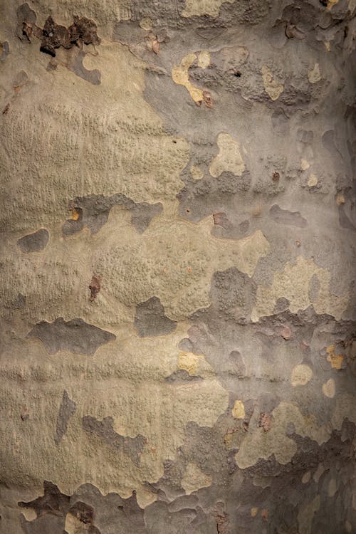 Close-up Photo of Textured Surface