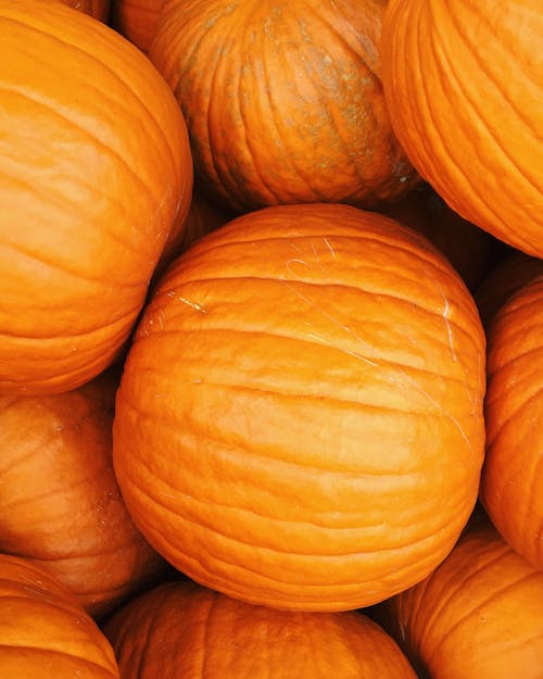 Orange Pumpkin in Macro Photography