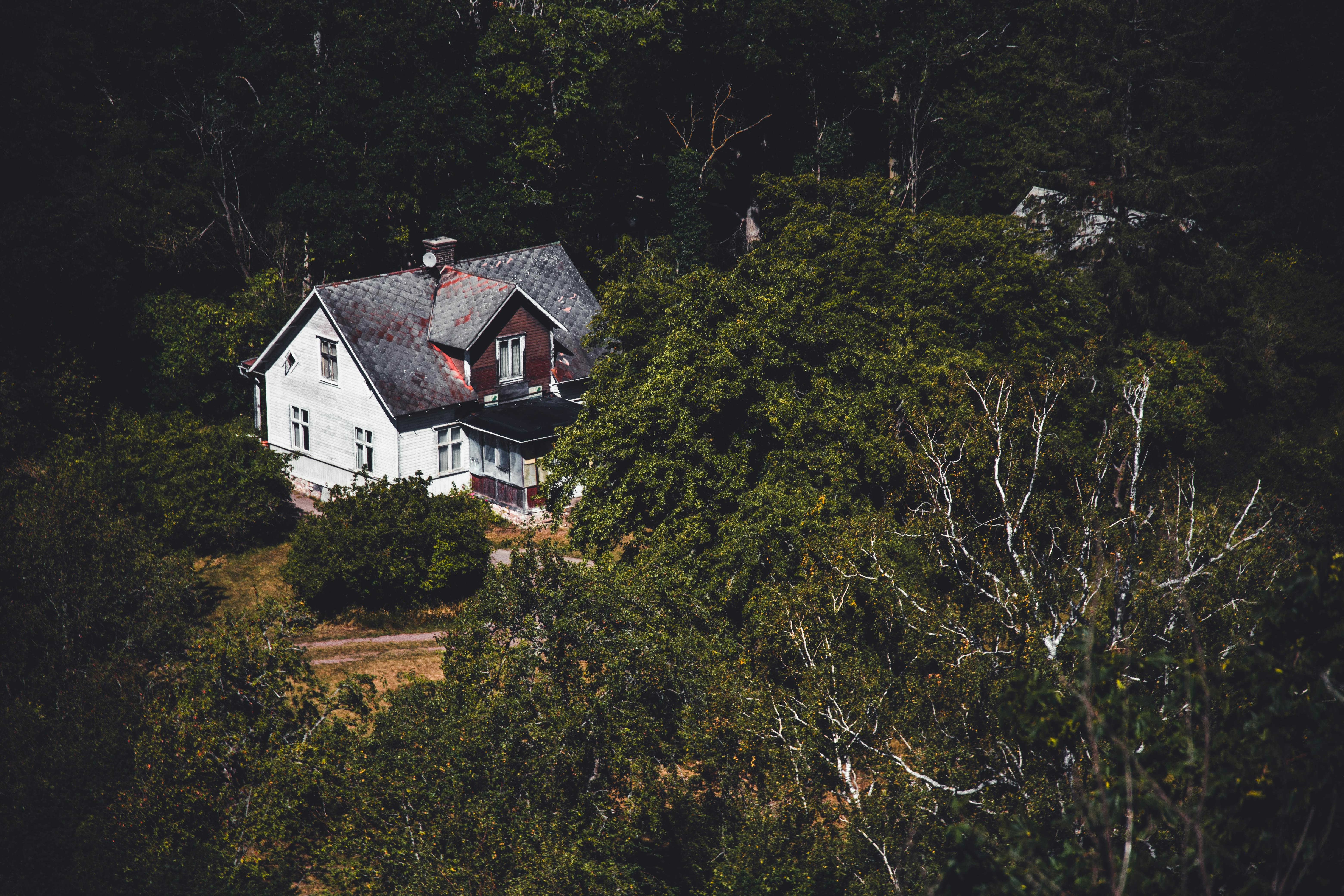 Investigation: Another local homeowner’s insurance company denies extensive water damage claim — Photo by Isaac Cedercrantz o