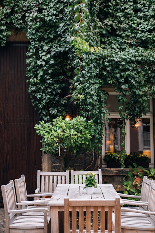 Exterior of cozy cafe with wooden table and chairs on street and green lush plant on wall