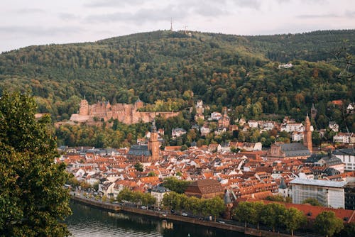 Picturesque scenery of town with classic buildings and green lush forest on mountain near rippling river water