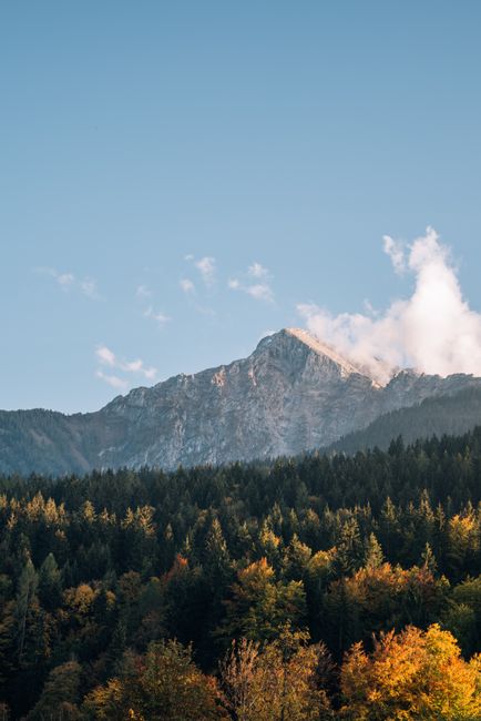 Breathtaking scenery of rough rocky mountain behind coniferous woodland under blue sky with clouds