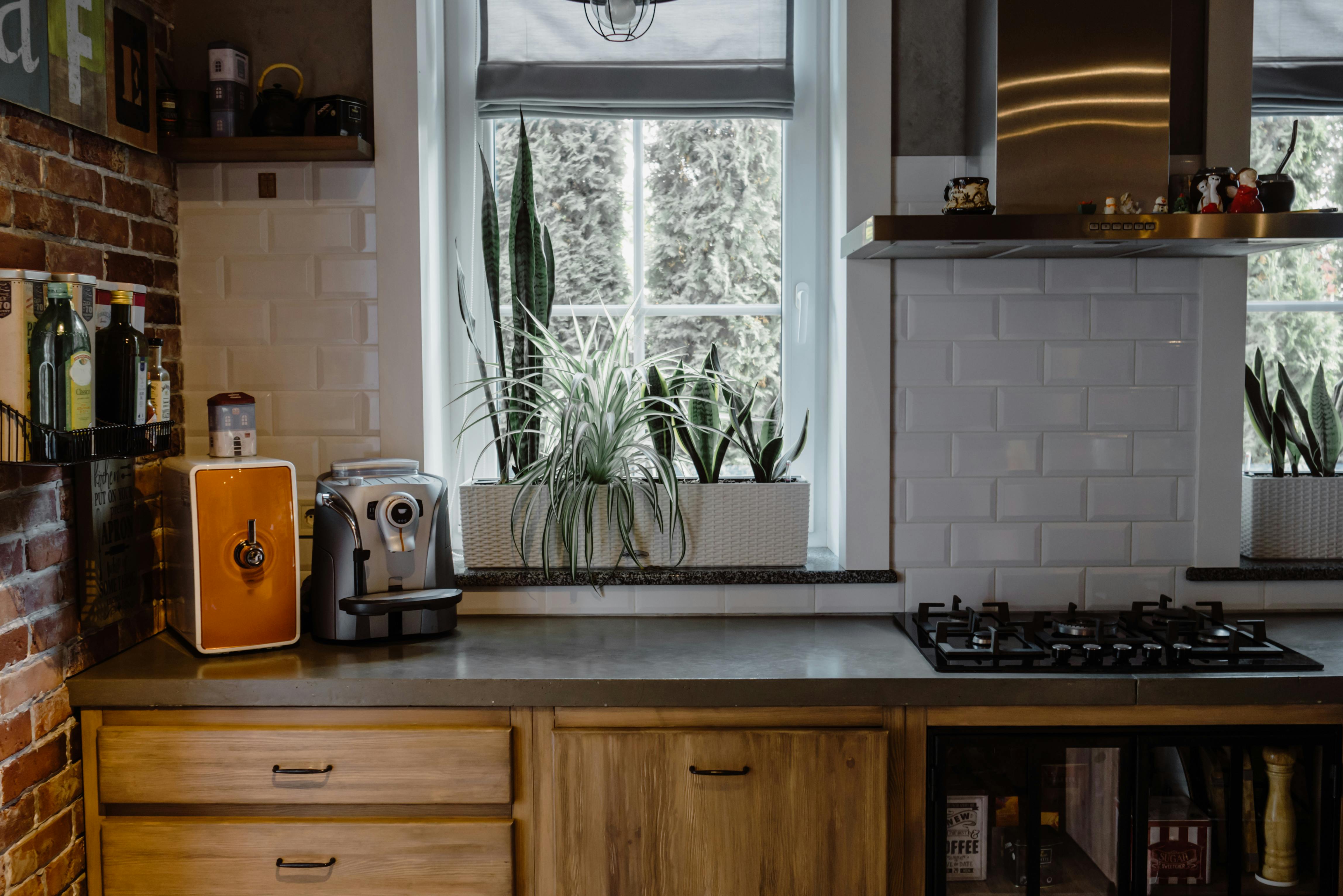 kitchen room with ornamental plants