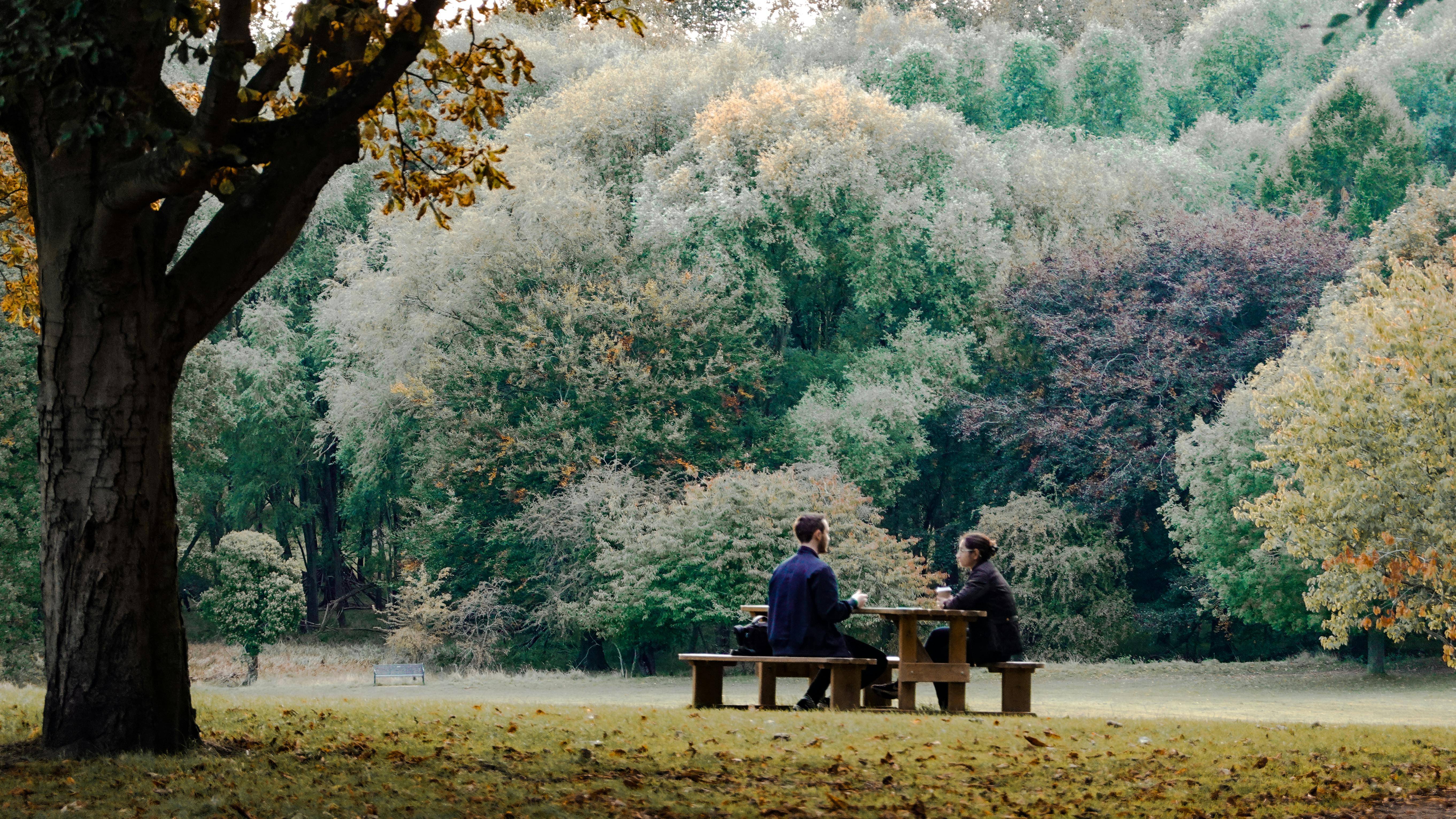 Strangers in the Park (2026) Movie Review: The World’s Most Painfully Obvious Play-to-Film Adaptation Drowns Itself in Oppres