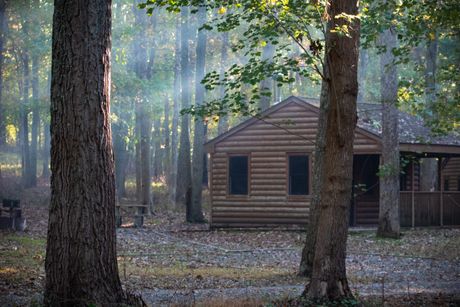 Log cabin among tall trees in low morning light on a leaf-covered forest floor — photo by Dan Hadley on Pexels