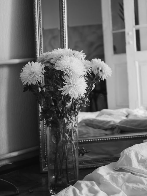 Free Elegant black and white photo of flowers in a glass vase with reflection. Stock Photo