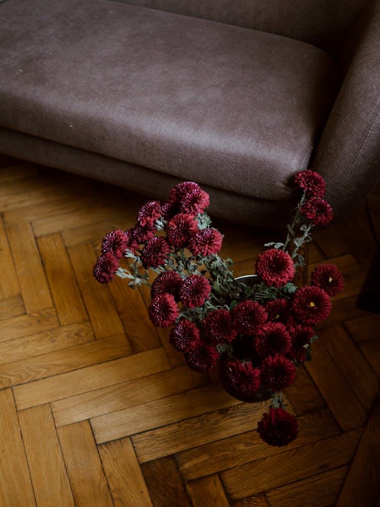 Red Chrysanthemum Flowers On A Pot