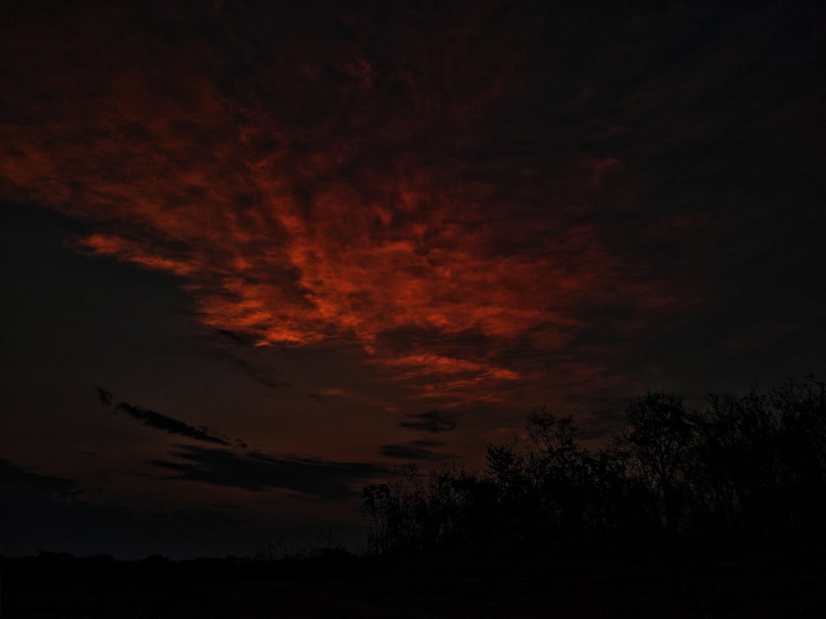 Small bowls of nuts, olives, hummus and vegetables laid out as a snack board