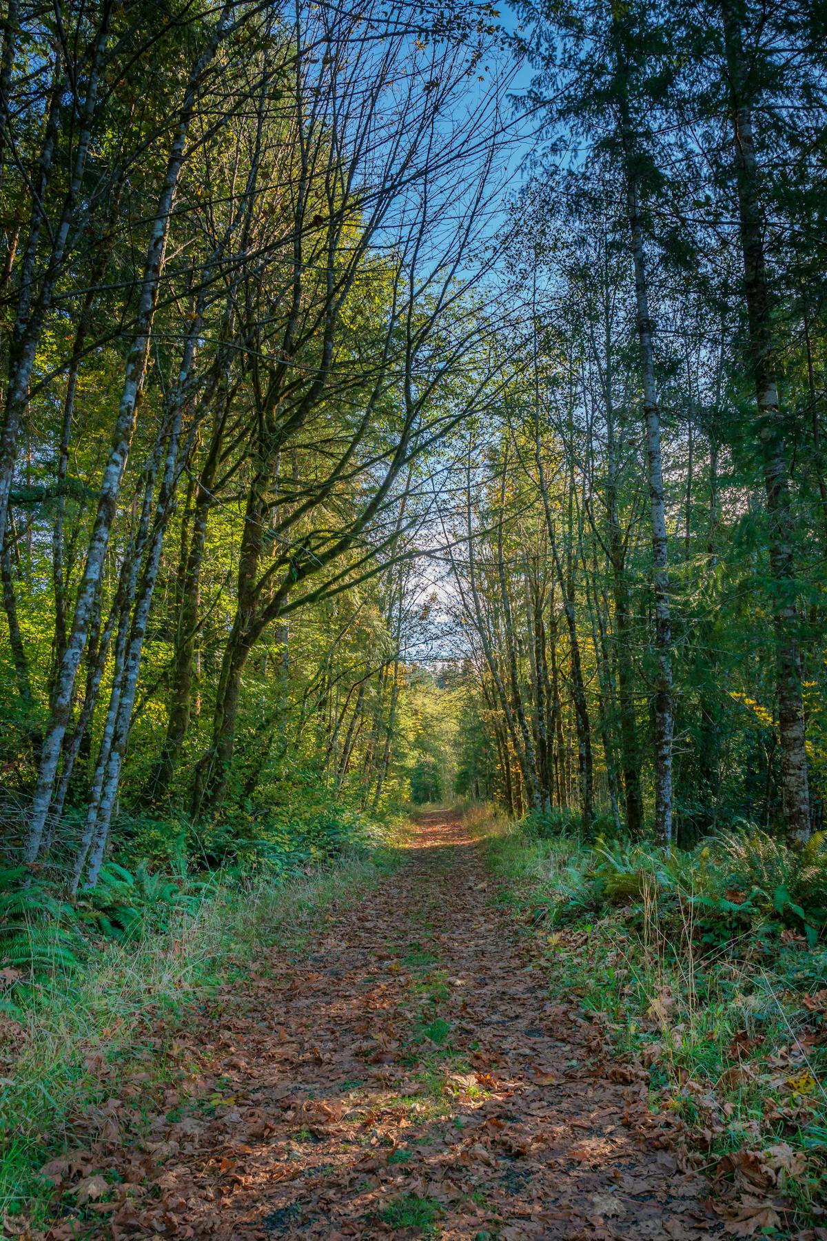 Overhead view of a skillet and cooking utensils on a kitchen counter