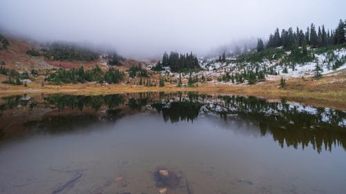 Conifer Trees on Hills Reflection in Lake