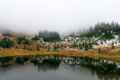 丘陵, 冬季, 反射 的 免費圖庫相片