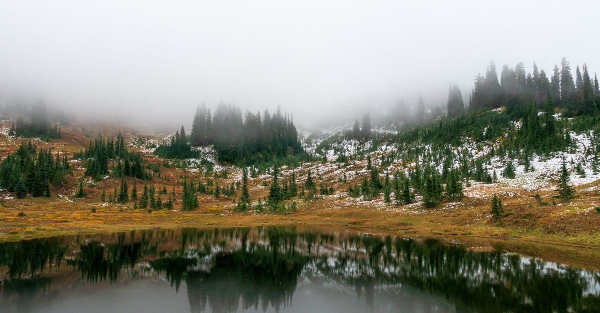 Serene mountain lake with fog and snow-dusted trees reflecting peaceful winter scenery.