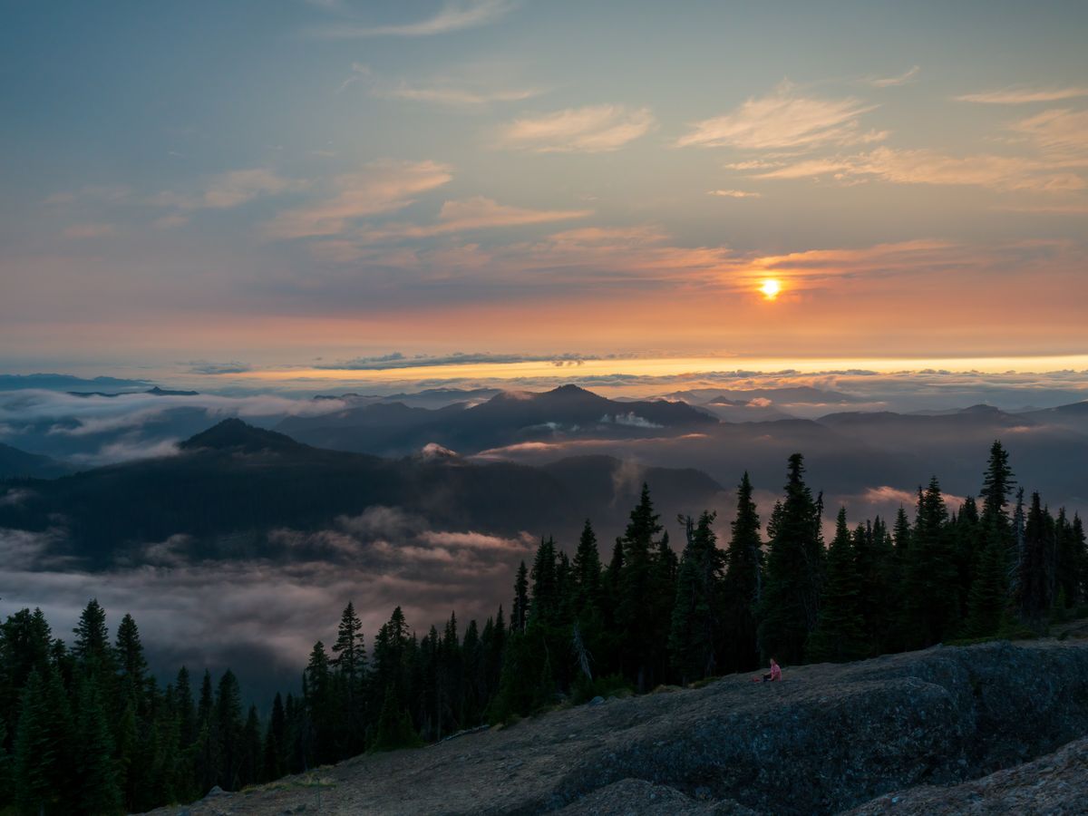 5 Day Lakefront Treehouse Retreat in Washington US 1