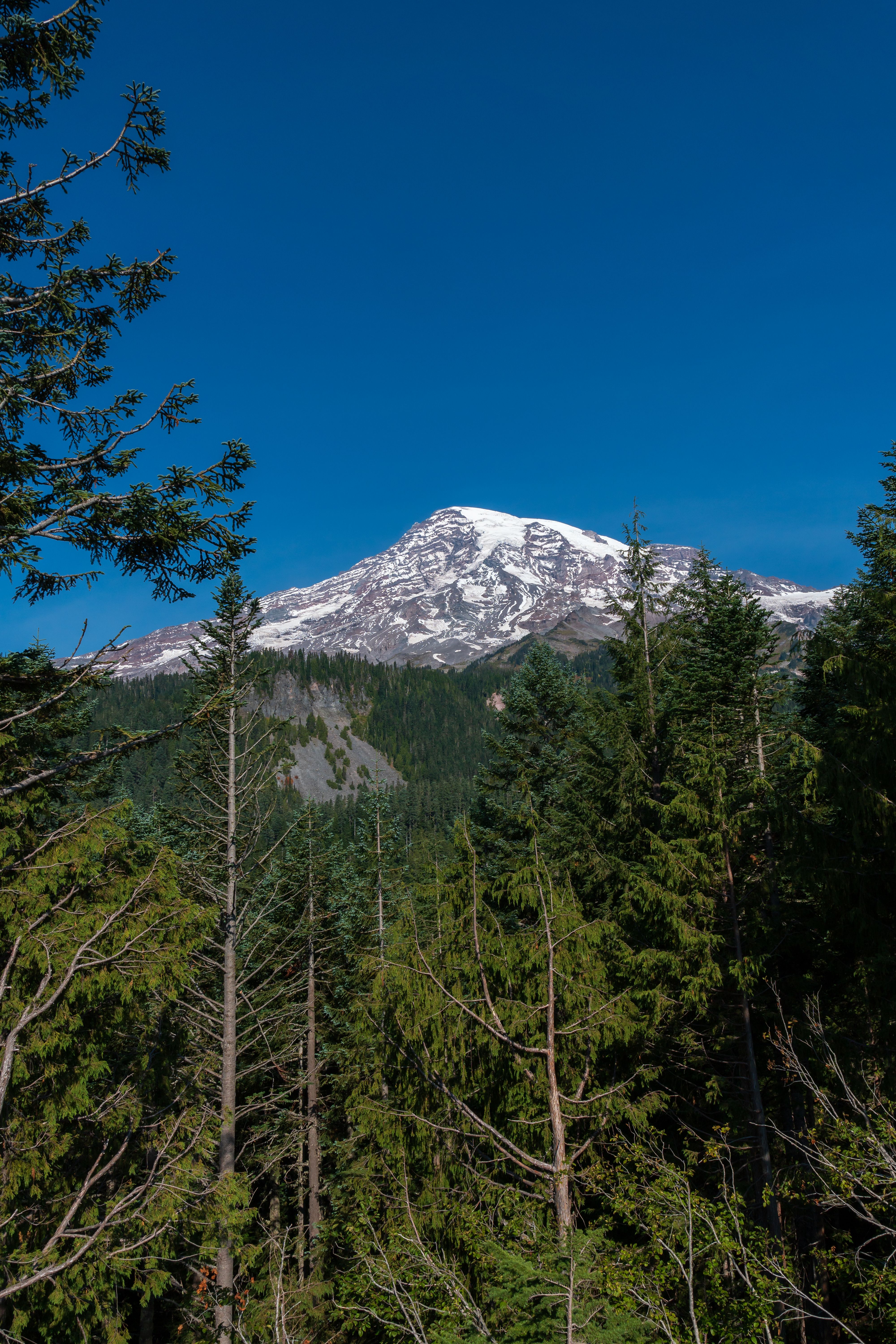 Green Trees Near Snow Covered Mountain Under Blue Sky · Free Stock Photo